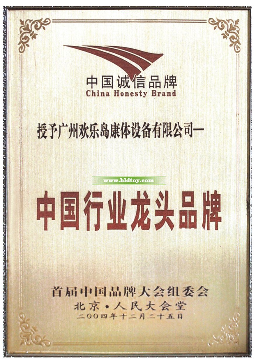 中国行业龙头品牌证书